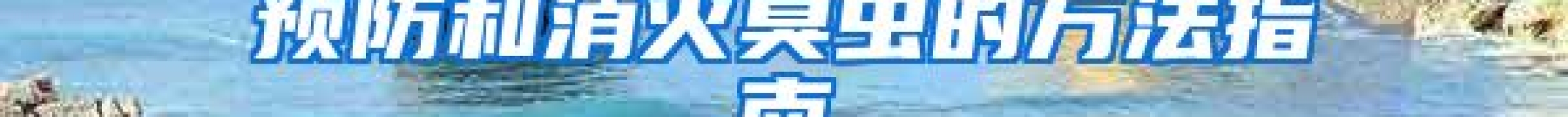 預(yù)防和消滅臭蟲的方法指南